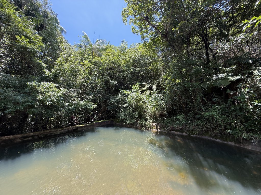 Poço natural da Cachoeira da Paz cercado por vegetação