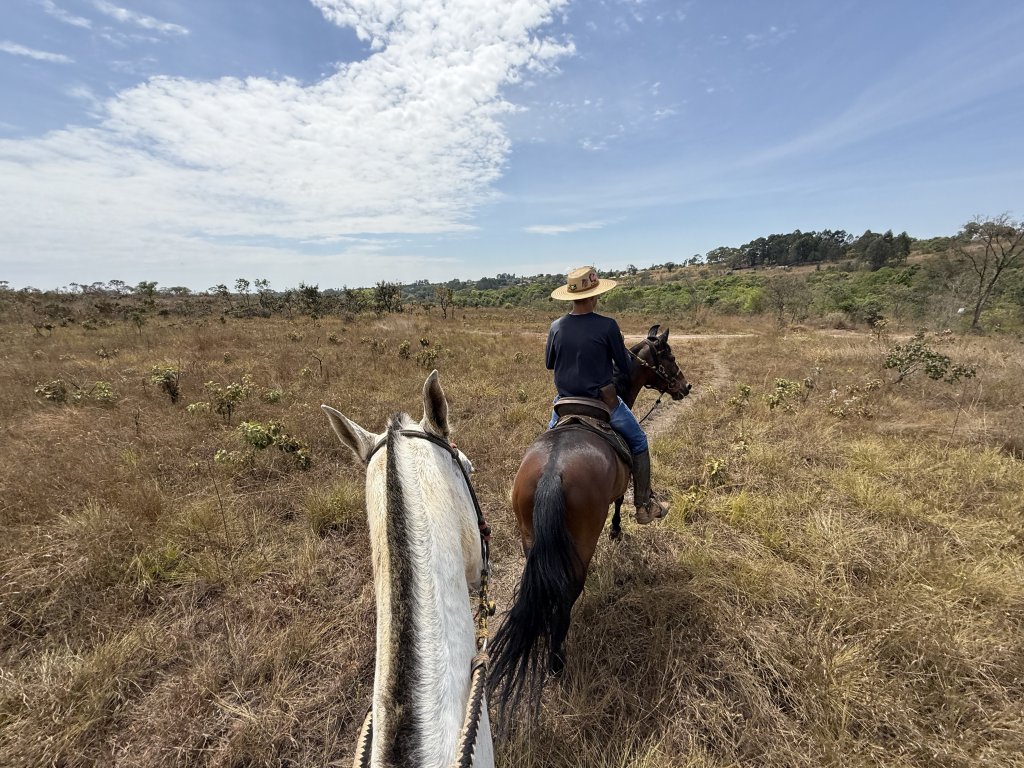Cavalgada pelas paisagens do Cerrado ao fim da tarde